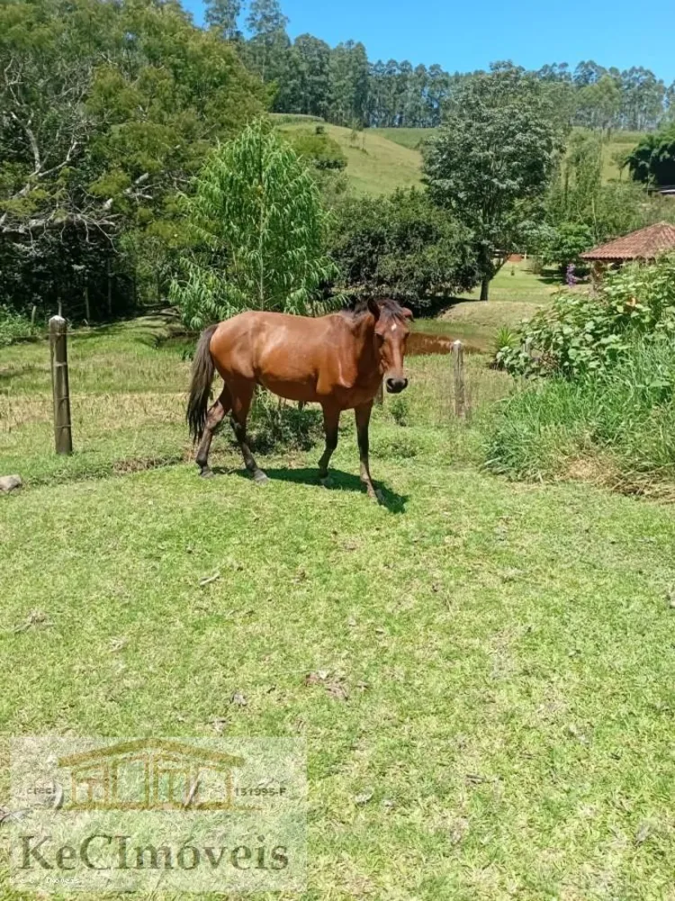 Sítio, 2 quartos, 2 hectares - Foto 3