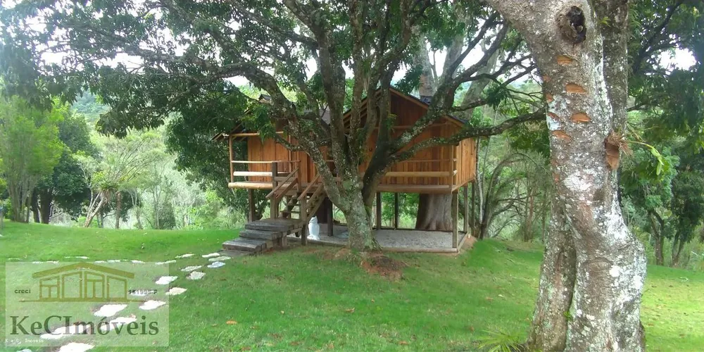 Fazenda, 380 hectares - Foto 4