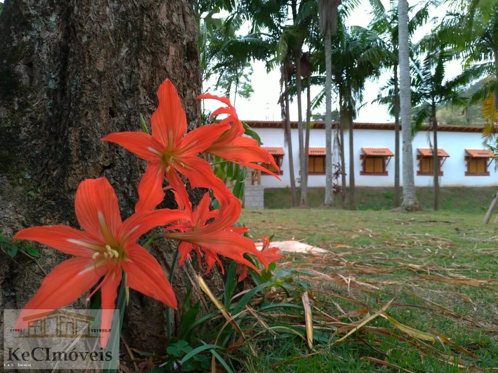Fazenda, 380 hectares - Foto 6