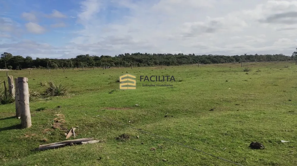 Fazenda à venda com 2 quartos, 470000m² - Foto 4