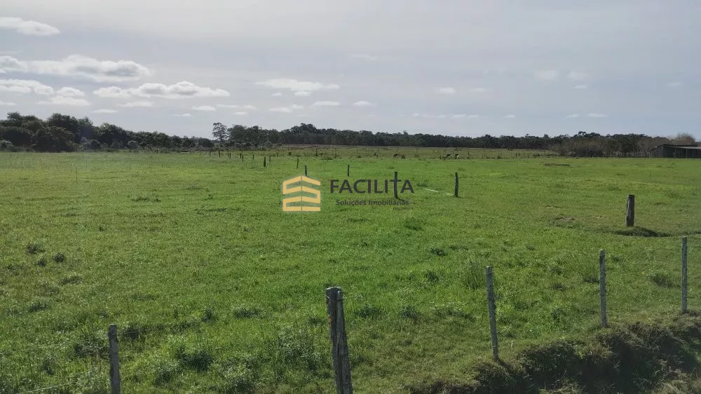 Fazenda à venda com 2 quartos, 470000m² - Foto 1