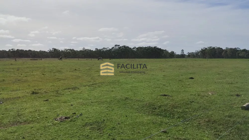 Fazenda à venda com 2 quartos, 470000m² - Foto 3