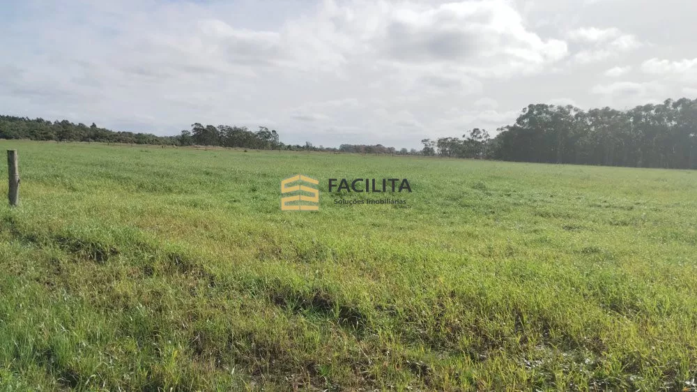 Fazenda à venda com 2 quartos, 470000m² - Foto 2