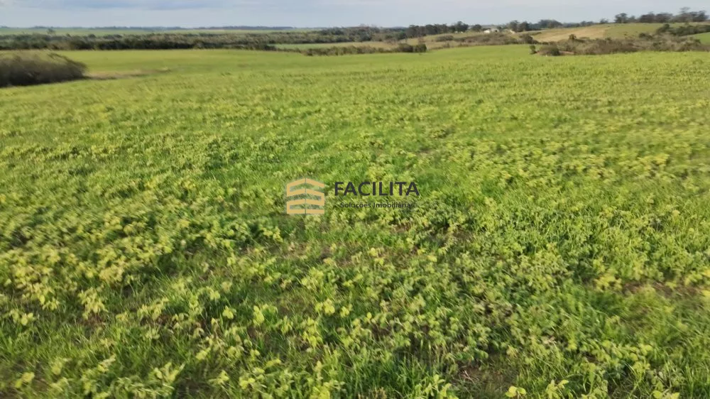 Fazenda à venda, 200000m² - Foto 1