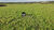 Sítio, 20 hectares - Foto 1
