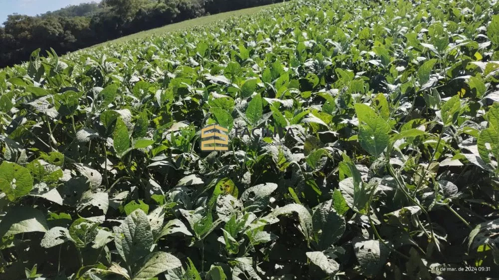 Fazenda à venda, 3900000m² - Foto 1