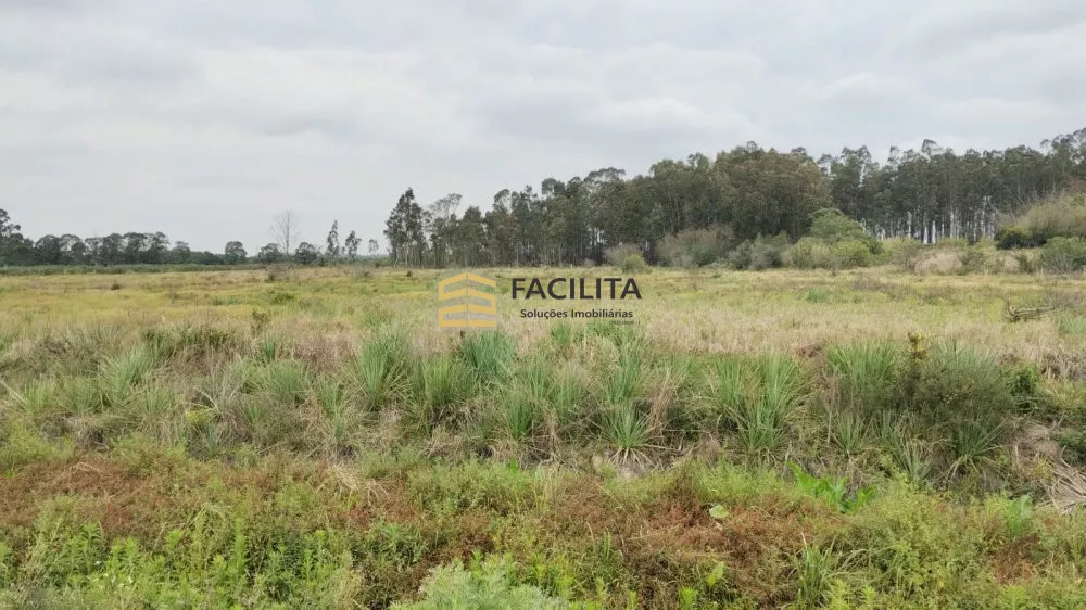 Fazenda à venda com 1 quarto, 20000m² - Foto 1