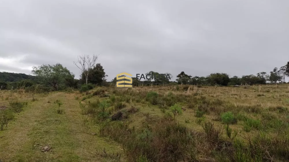 Fazenda à venda com 3 quartos, 2600000m² - Foto 2