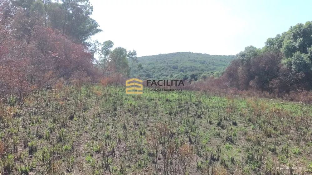 Fazenda à venda com 3 quartos, 2600000m² - Foto 3