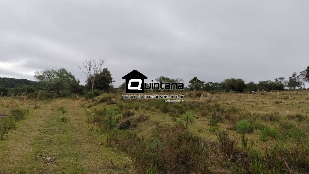 Fazenda à venda com 3 quartos, 2600000m² - Foto 2