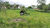 Terreno, 7500 m² - Foto 1
