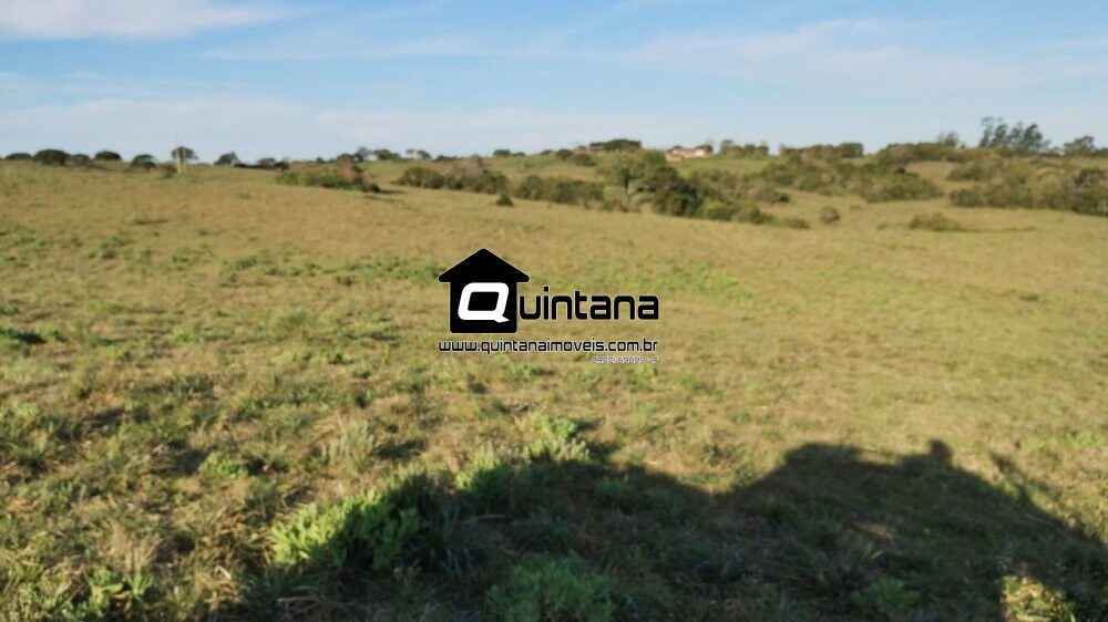 Fazenda à venda com 3 quartos, 760000m² - Foto 4