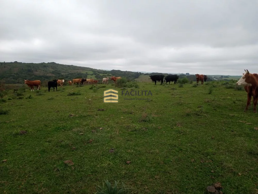 Fazenda à venda, 500000m² - Foto 3