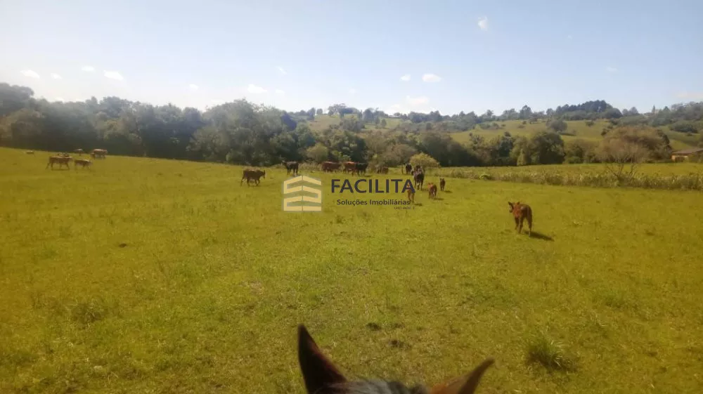 Fazenda à venda, 500000m² - Foto 2