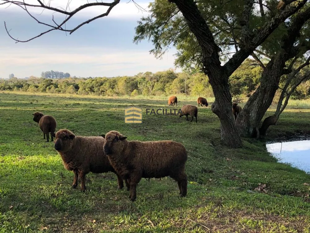 Fazenda à venda com 2 quartos, 180000m² - Foto 2