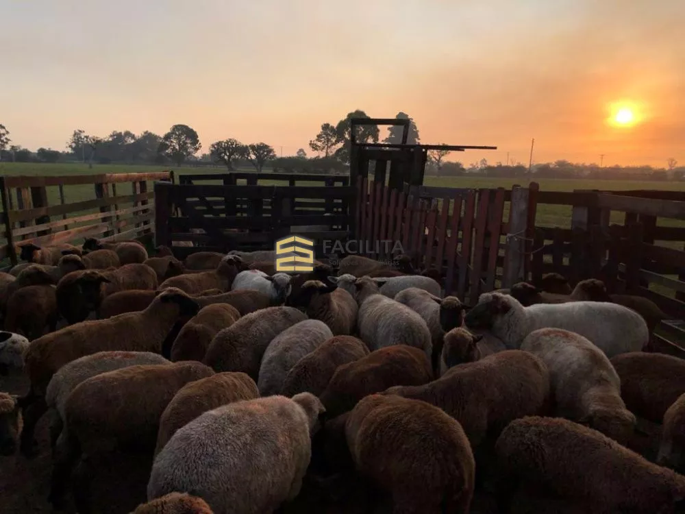 Fazenda à venda com 2 quartos, 180000m² - Foto 3