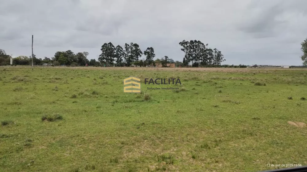 Fazenda à venda com 2 quartos, 180000m² - Foto 5