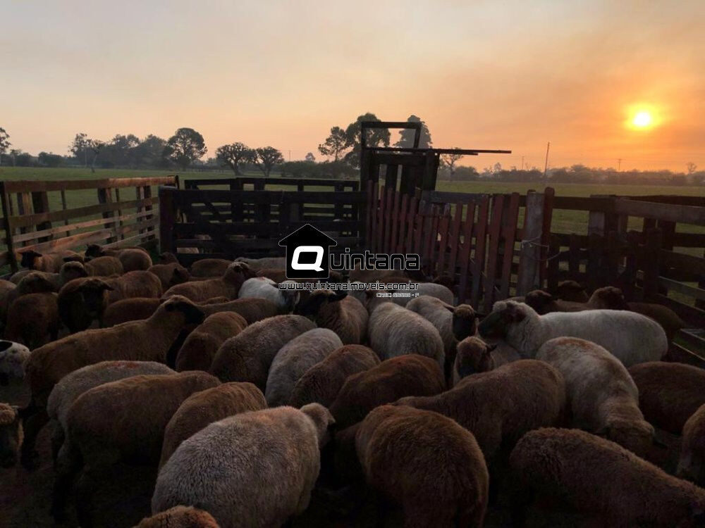 Fazenda à venda com 2 quartos, 180000m² - Foto 3