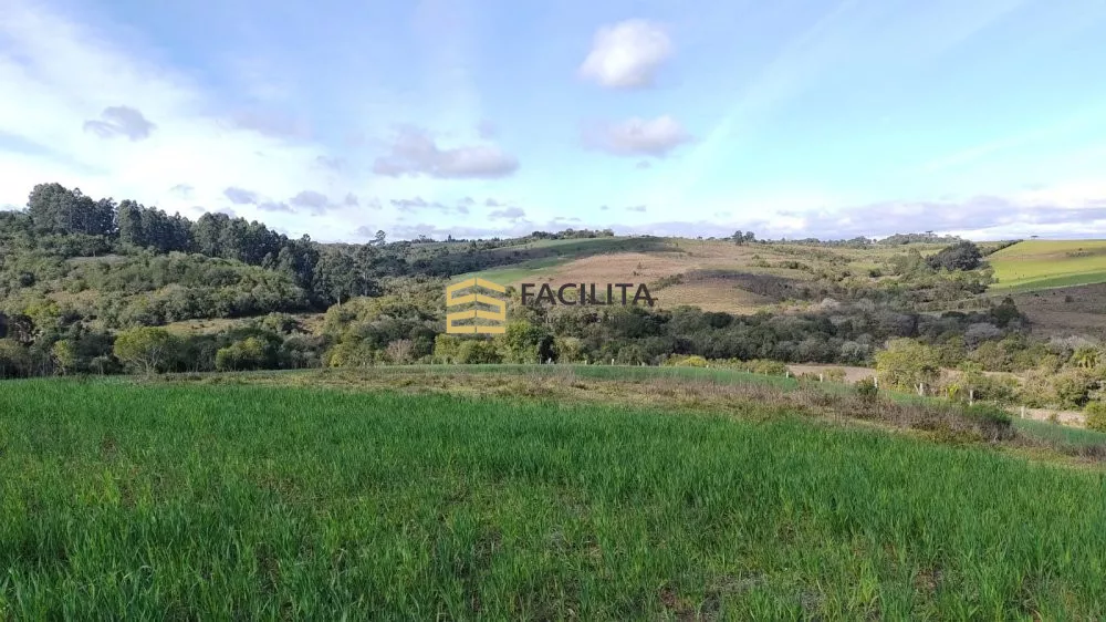 Fazenda à venda com 2 quartos, 1010000m² - Foto 4