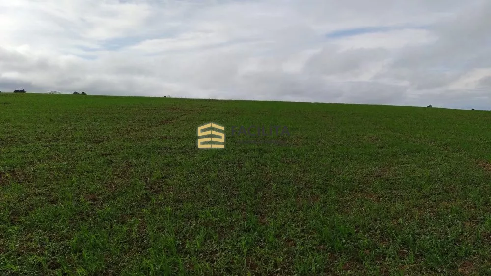 Fazenda à venda com 2 quartos, 1010000m² - Foto 3