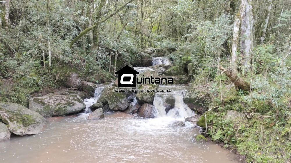Fazenda à venda com 2 quartos, 640000m² - Foto 3