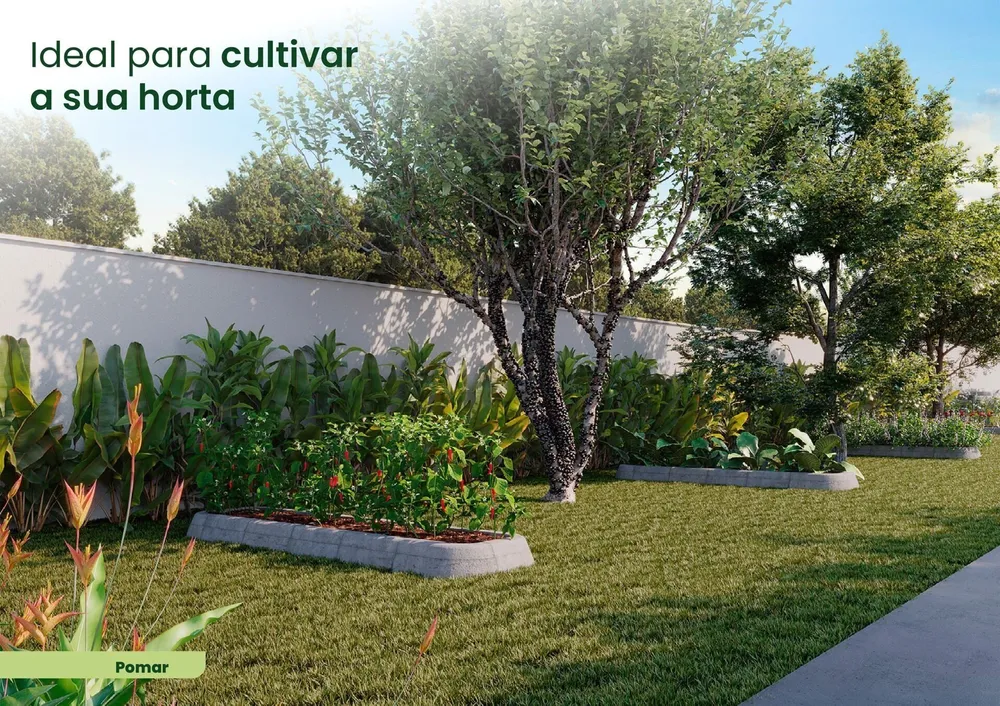 Apartamento, 2 quartos, 38 m² - Foto 4