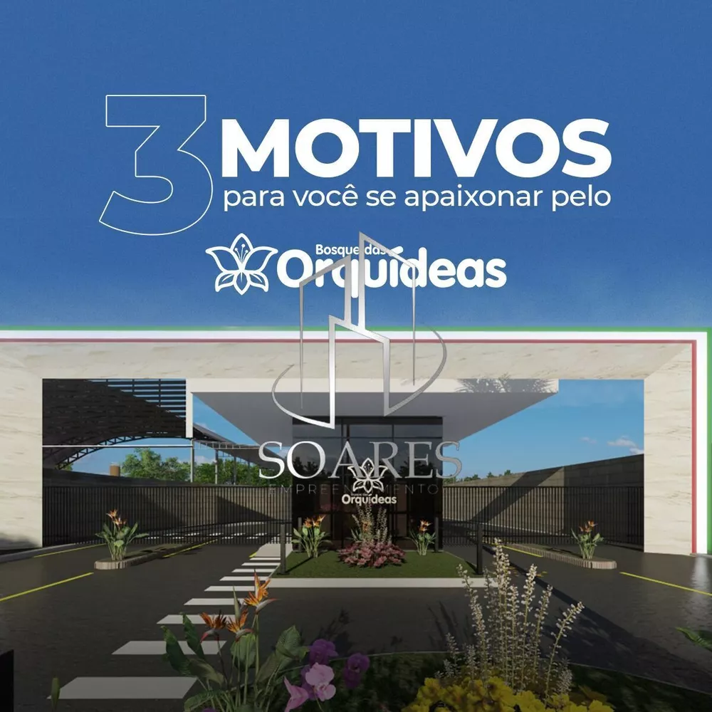 Terreno, 10 hectares - Foto 6