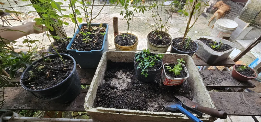 Casa, 2 quartos, 205 m² - Foto 5