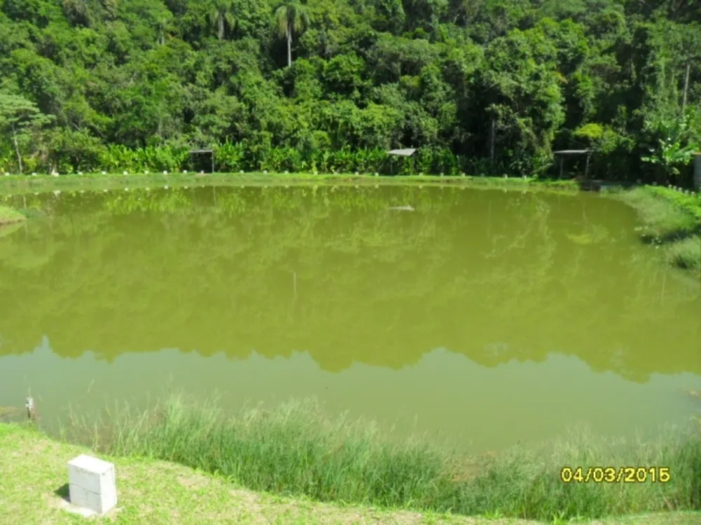 Prédio Inteiro, 10000 m² - Foto 5
