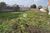 Terreno, 770 m² - Foto 4