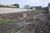 Terreno, 770 m² - Foto 2