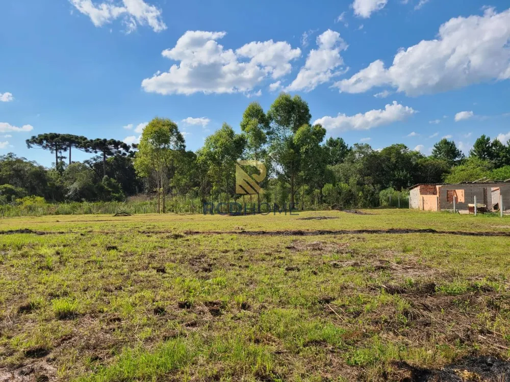 Terreno, 3500 m² - Foto 5