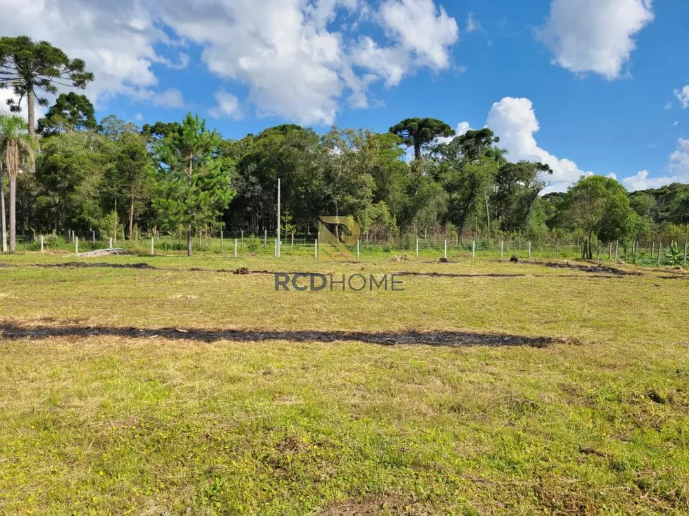 Terreno, 3500 m² - Foto 3