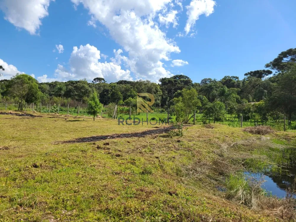 Terreno, 3500 m² - Foto 6