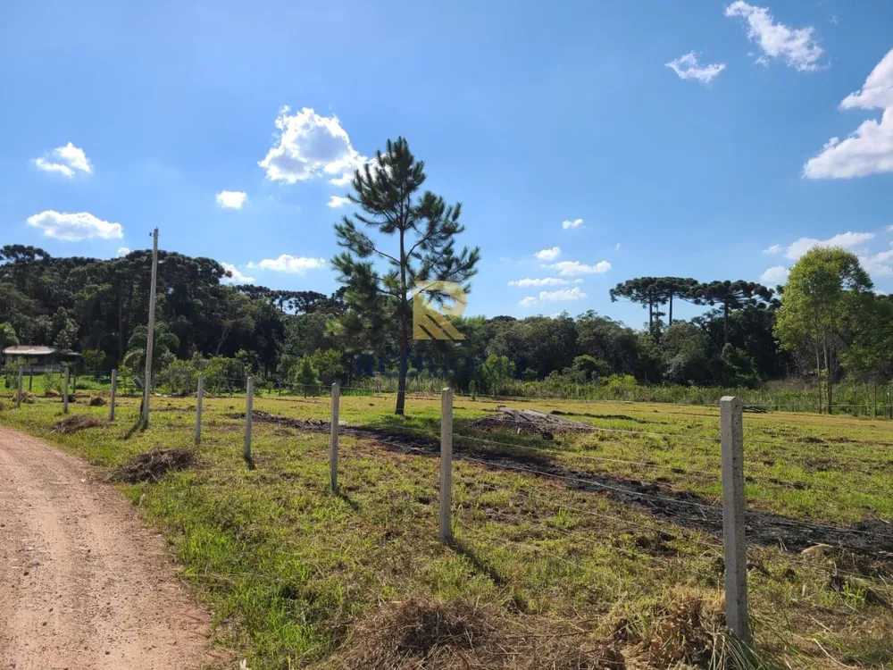 Terreno, 3500 m² - Foto 7