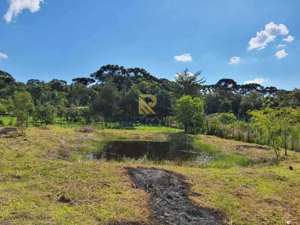 Terreno, 3500 m² - Foto 8