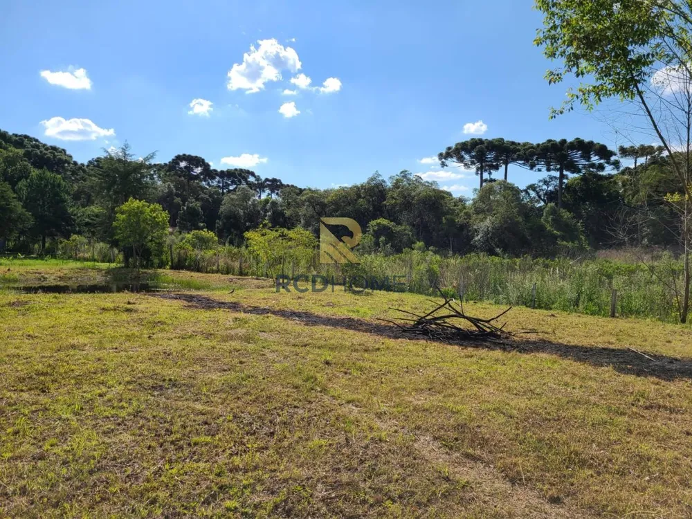 Terreno, 3500 m² - Foto 7