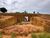 Terreno, 500 m² - Foto 1