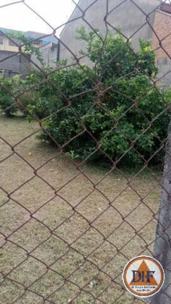 Terreno, 300 m² - Foto 6