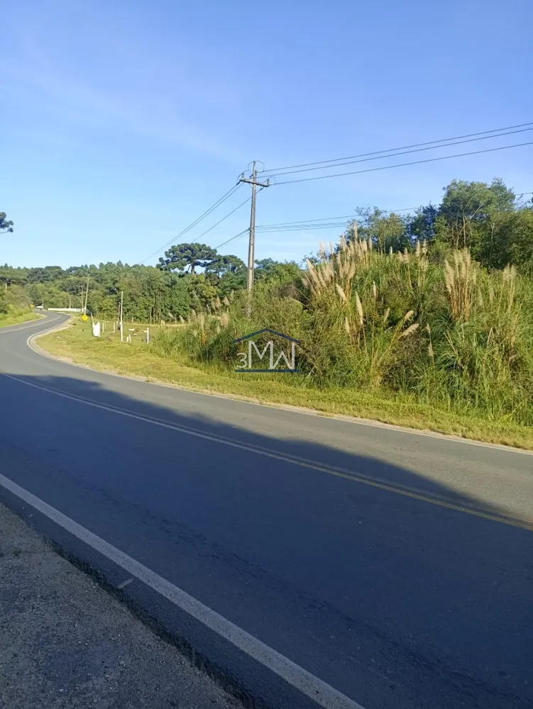 Terreno, 6 hectares - Foto 1