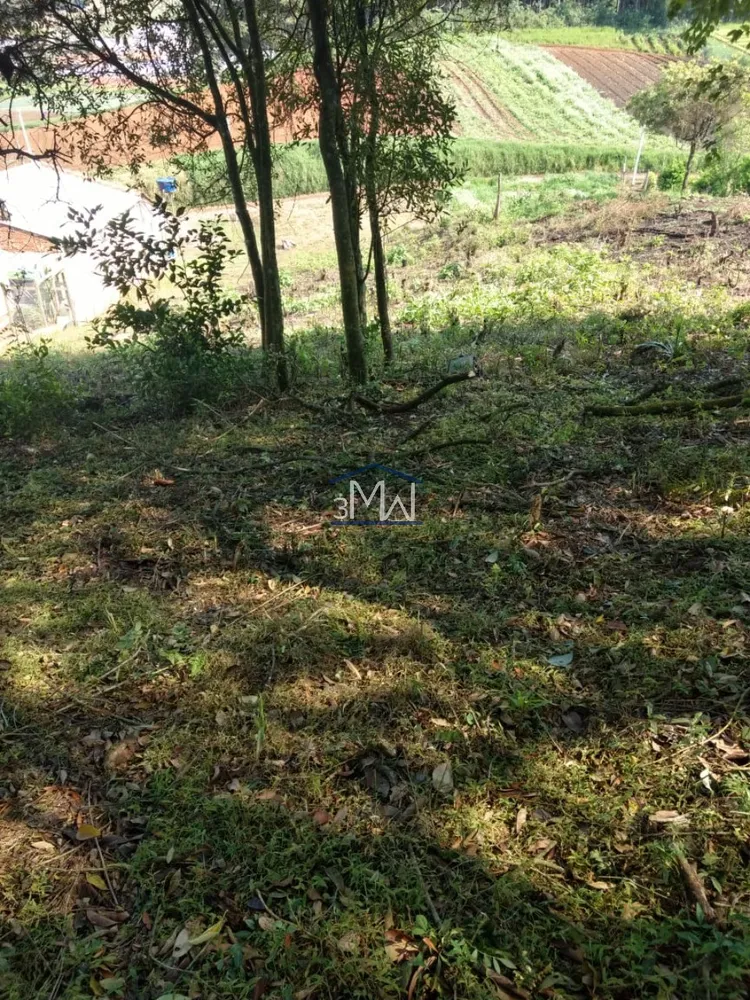 Terreno, 632 m² - Foto 3