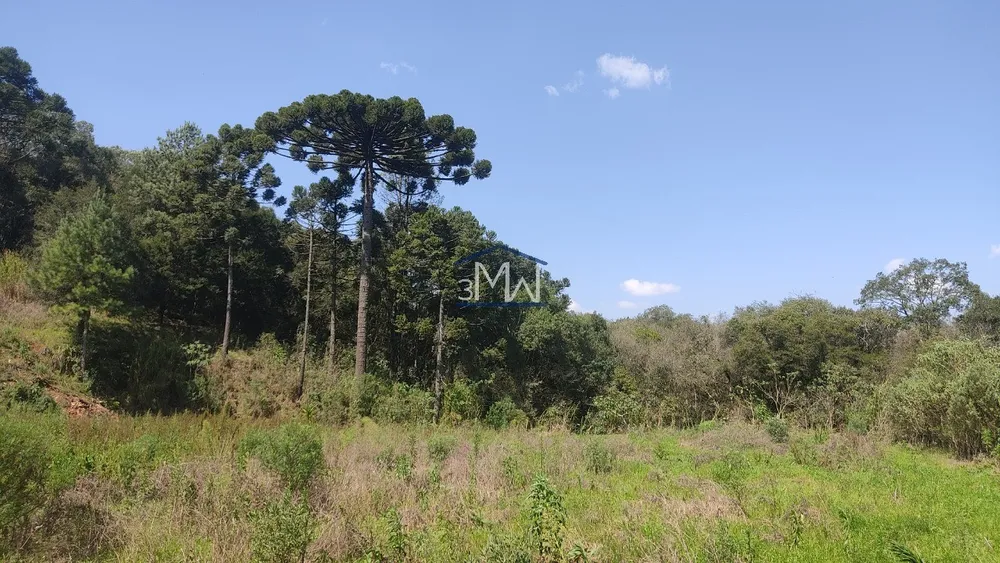 Terreno, 3500 m² - Foto 1