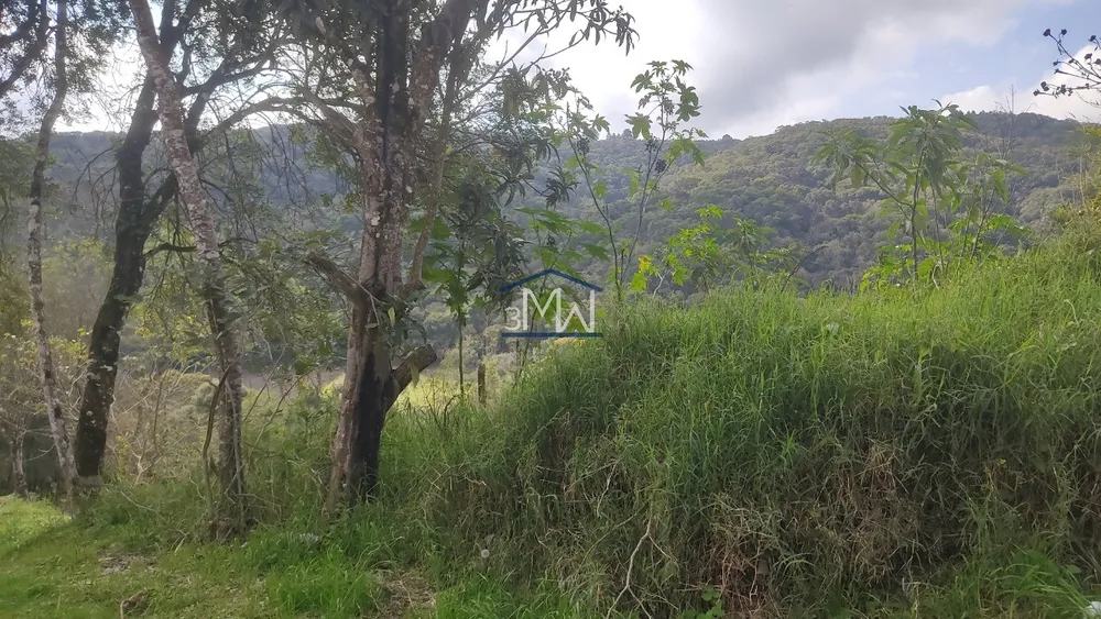 Terreno, 1250 m² - Foto 3