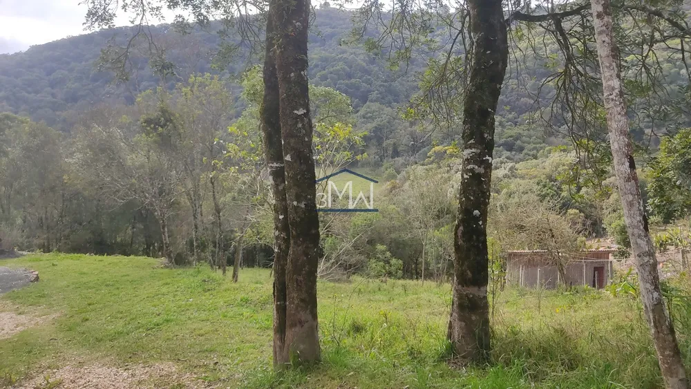 Terreno, 1250 m² - Foto 1