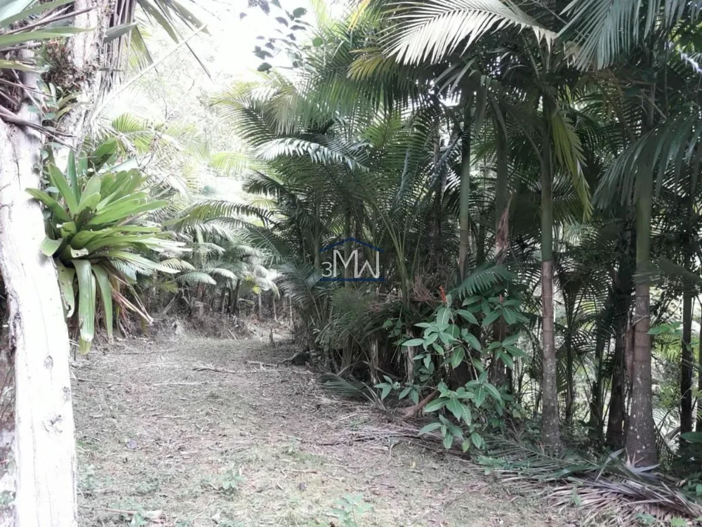 Terreno, 9 hectares - Foto 6