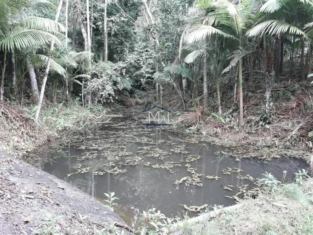 Terreno, 9 hectares - Foto 7