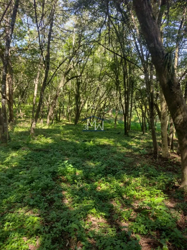 Terreno à venda, 4400m² - Foto 3