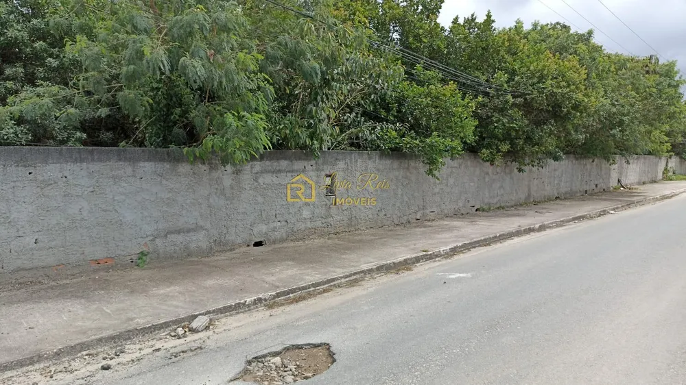 Terreno, 10000 m² - Foto 3