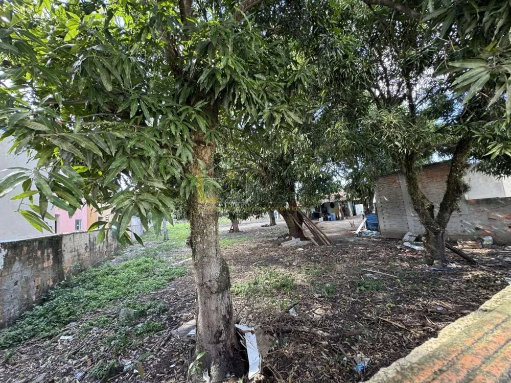Terreno, 2500 m² - Foto 6