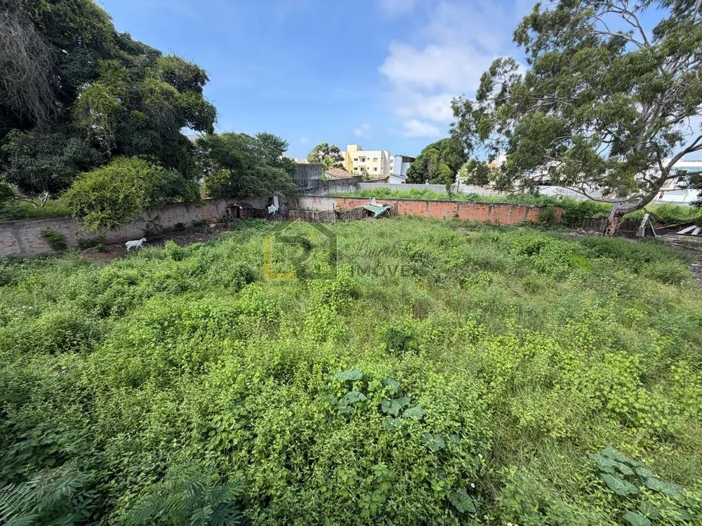 Terreno, 2500 m² - Foto 2
